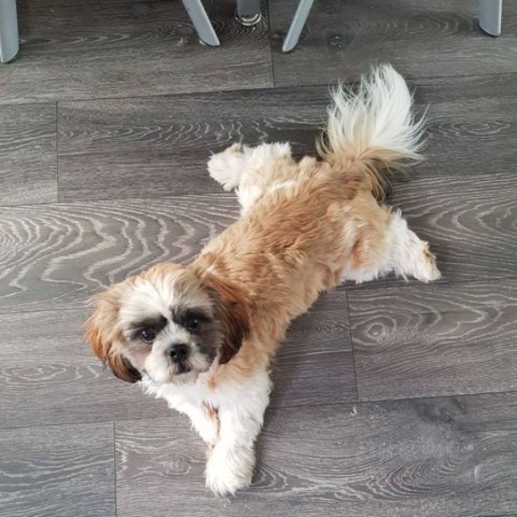 Meet your Posher, Carol - Picture 1 of 1